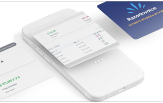 razorinvoice-mockup2